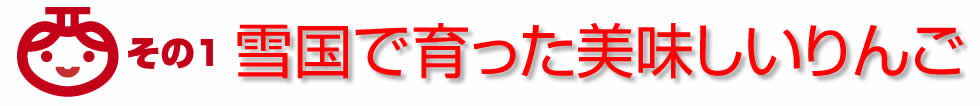 雪国で育った美味しいりんご