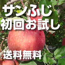 初回限定お試し【送料無料】サンふじ特秀（若干）