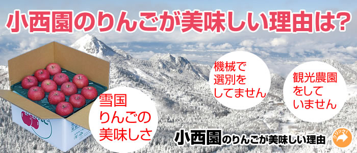 小西園のりんごが美味しい理由は?