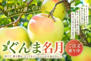 スッキリした甘味が人気。ぐんま名月はいかがですか？