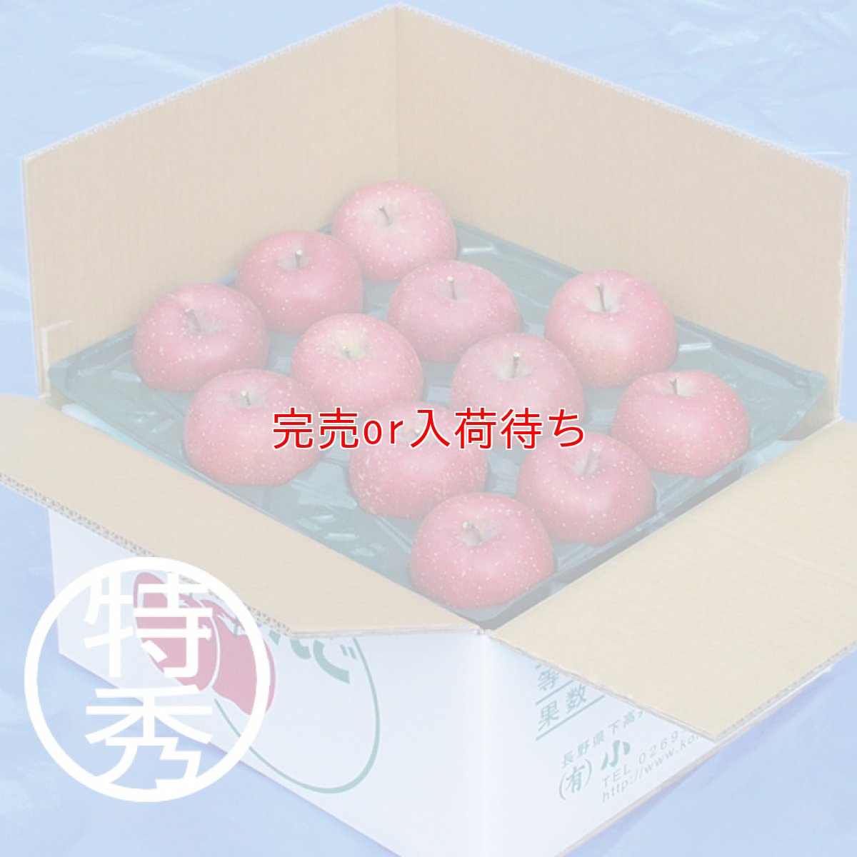画像1: サンふじ　特秀　10ｋｇ (1)