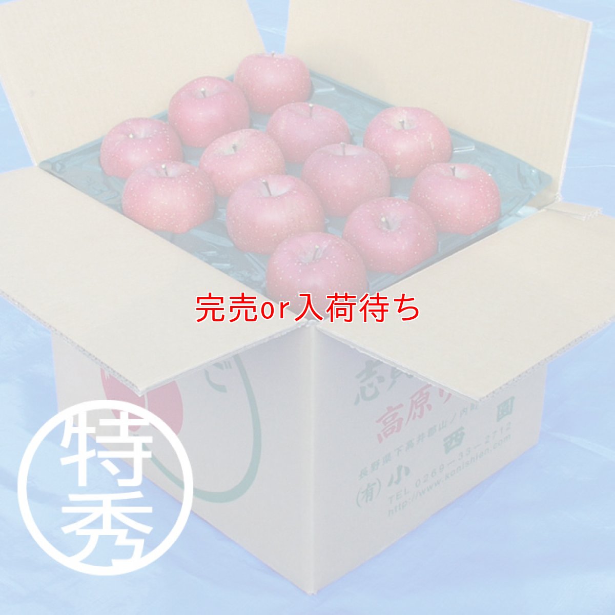 画像1: サンふじ　特秀　15ｋｇ (1)