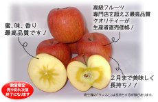 画像5: サンふじ・ぐんま名月詰め合わせ　秀　10kg (5)