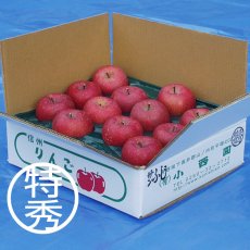 画像1: サンふじ　特秀　5ｋｇ (1)