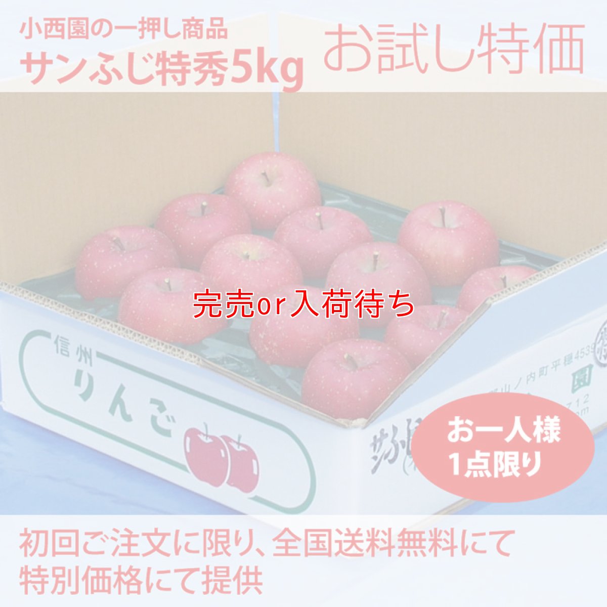 画像1: お試し送料無料　サンふじ特秀　5ｋｇ (1)