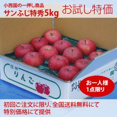画像1: お試し送料無料　サンふじ特秀　5ｋｇ (1)