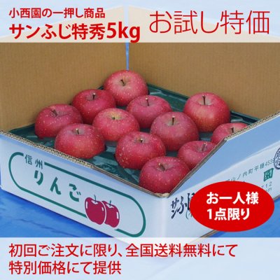 画像1: お試し送料無料　サンふじ特秀　5ｋｇ