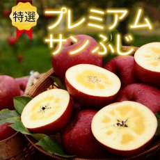 画像1: 小西園プレミアムサンふじ　5ｋｇ (1)