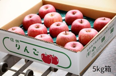 画像1: サンふじ　特秀　5ｋｇ
