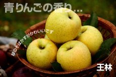 画像5: 王林　秀　15ｋｇ (5)