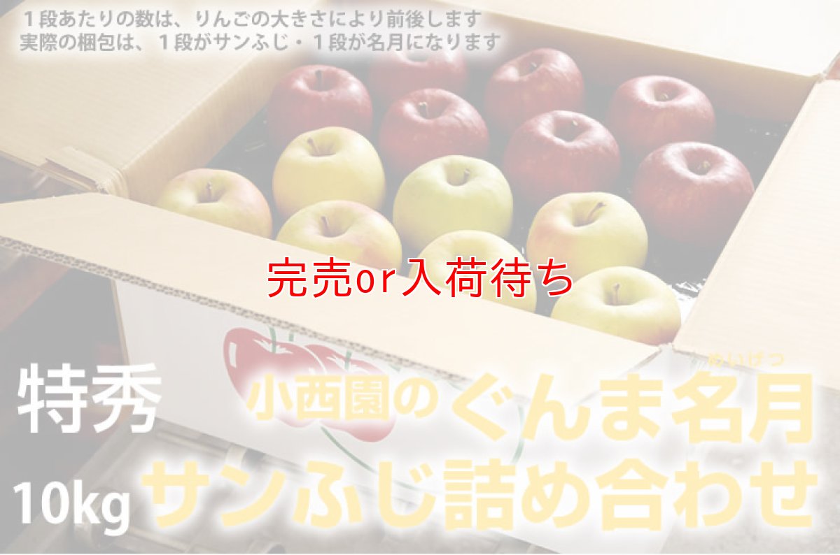 画像2: サンふじ・ぐんま名月詰め合わせ　特秀　10kg (2)