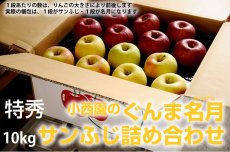 画像2: サンふじ・ぐんま名月詰め合わせ　特秀　10kg (2)