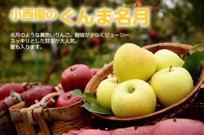 画像3: サンふじ・ぐんま名月詰め合わせ　特秀　15kg