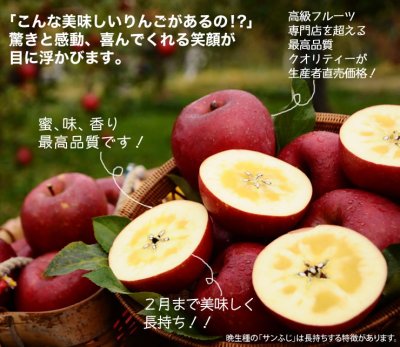 画像2: サンふじ・ぐんま名月詰め合わせ　特秀　15kg