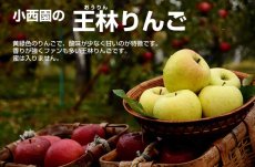 画像2: 王林　秀　15ｋｇ (2)