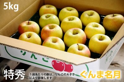 画像1: ぐんま名月　特秀　5ｋｇ