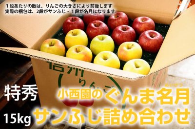 画像1: サンふじ・ぐんま名月詰め合わせ　特秀　15kg