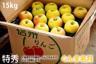 画像1: ぐんま名月　特秀　15ｋｇ