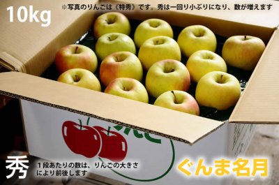 画像1: ぐんま名月　秀　10ｋｇ