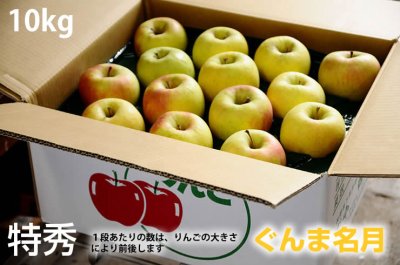 画像1: ぐんま名月　特秀　10ｋｇ