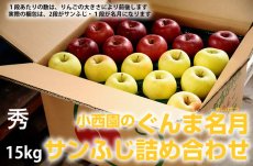 画像2: サンふじ・ぐんま名月詰め合わせ　秀　15kg (2)