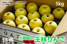 画像5: 王林　特秀　5ｋｇ (5)
