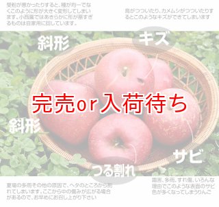 自宅用（訳あり） 【サンふじ専門農園 小西園】