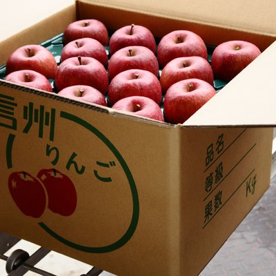 画像1: サンふじ　特秀　15ｋｇ