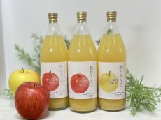 画像1: 飲むりんご　すりおろしジュース　詰め合わせ　3本セット　 (1)