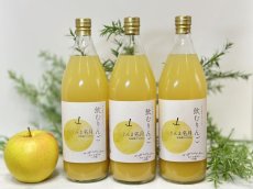 画像1: 飲むりんご　すりおろしジュース　ぐんま名月　6本セット (1)