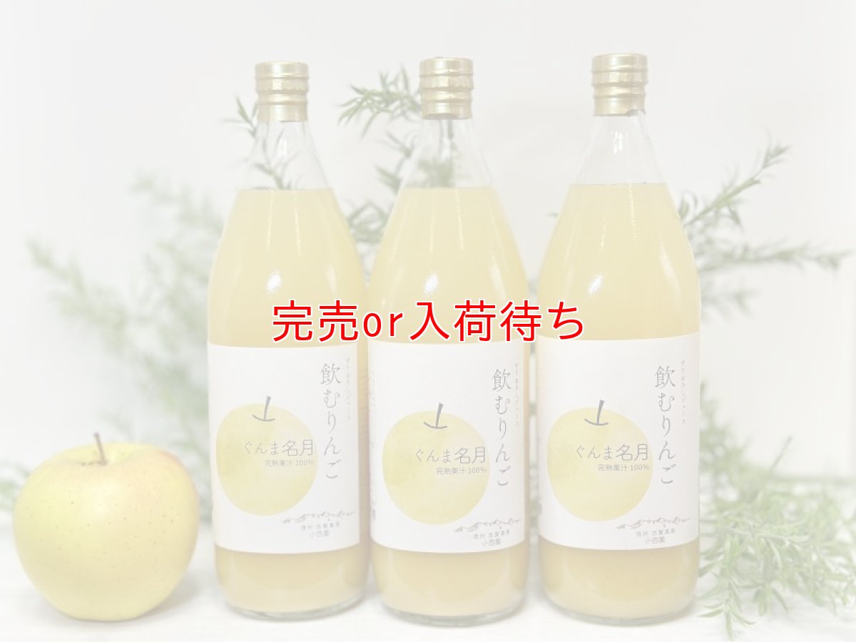 画像1: 飲むりんご　すりおろしジュース　ぐんま名月　3本セット　 (1)
