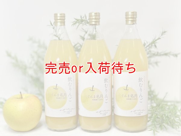 飲むりんご すりおろしジュース ぐんま名月 3本セット 【サンふじ専門