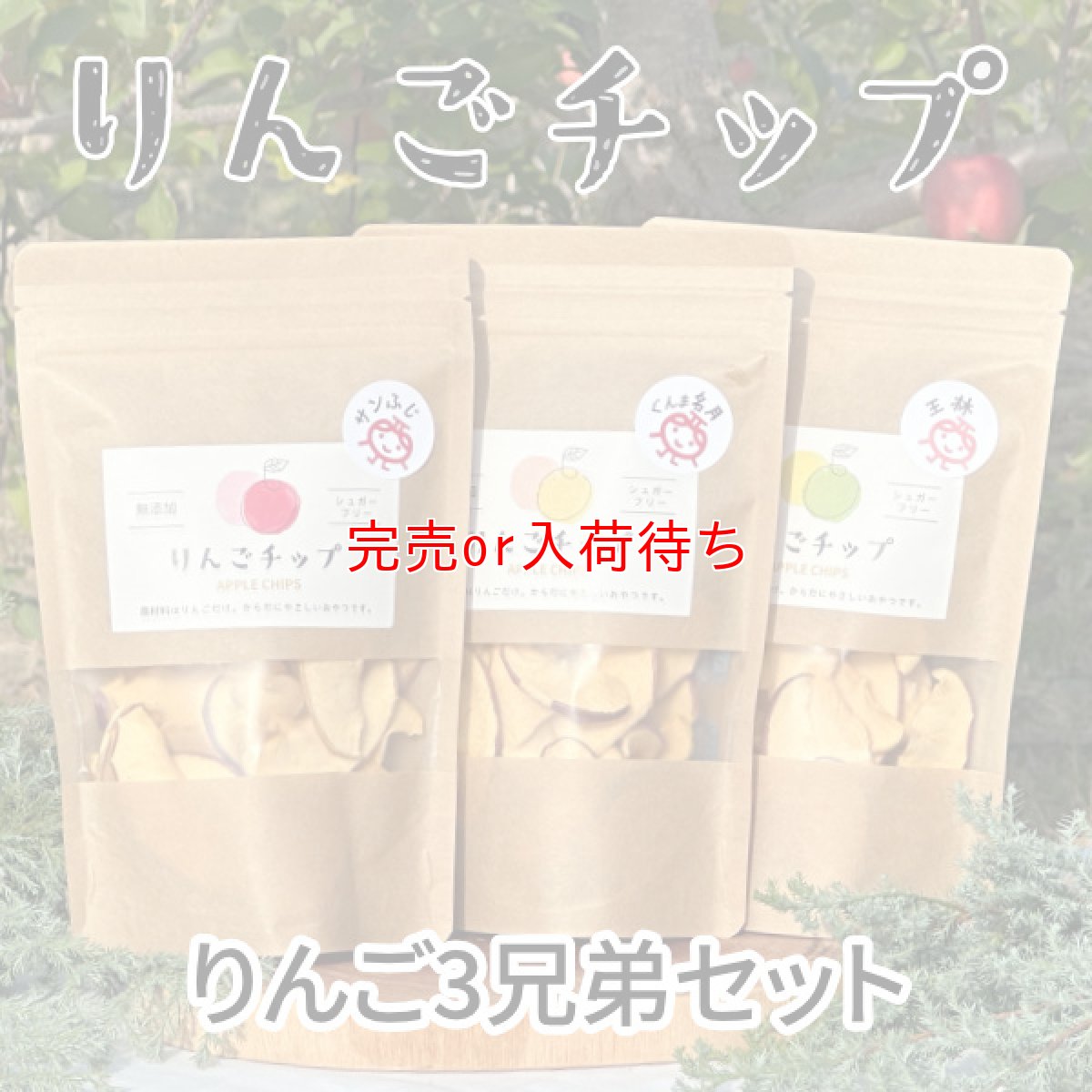 画像1: りんごチップ［３品種食べ比べセット］（送料込み） (1)