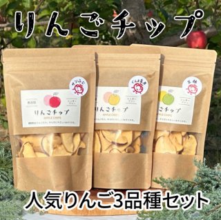 贈答用 【サンふじ専門農園 小西園】