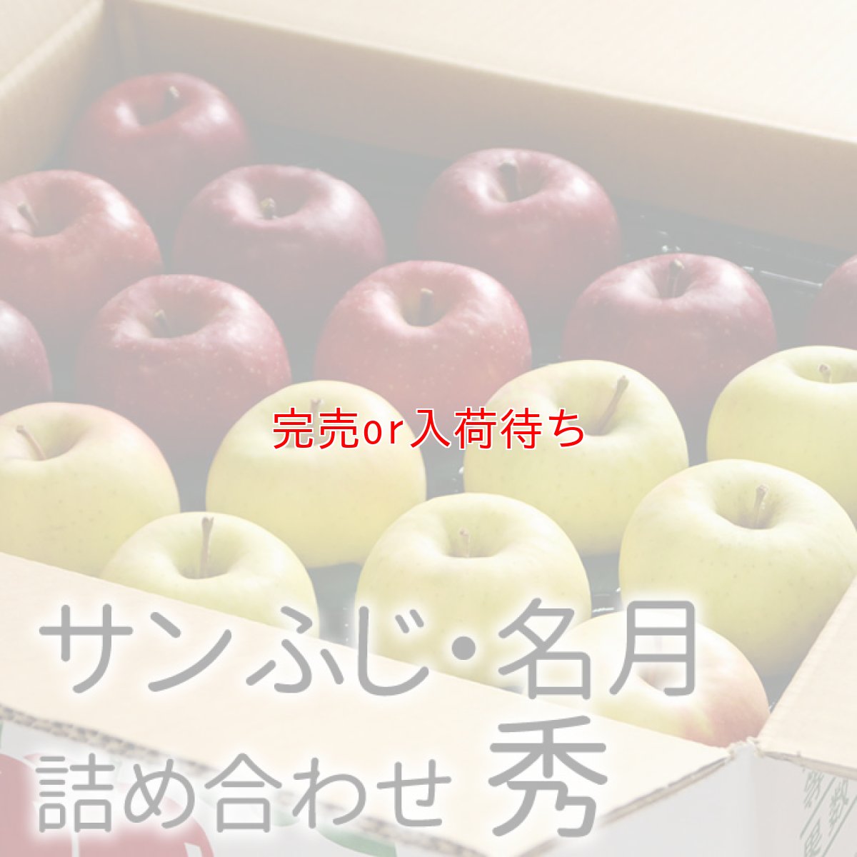 画像1: サンふじ・ぐんま名月詰め合わせ　秀　10kg (1)