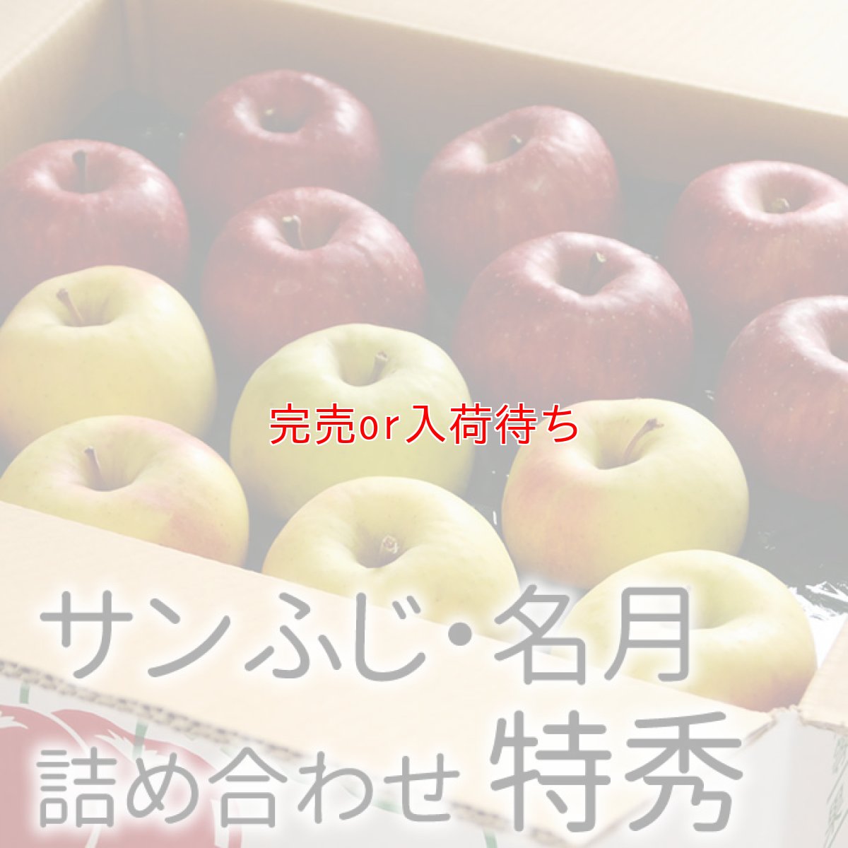 画像1: サンふじ・ぐんま名月詰め合わせ　特秀　15kg (1)