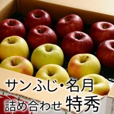 画像1: サンふじ・ぐんま名月詰め合わせ　特秀　15kg (1)