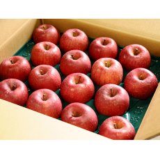 画像1: サンふじ　秀　5ｋｇ (1)