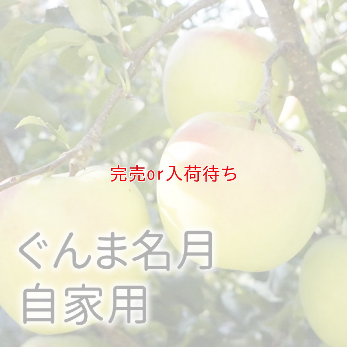 画像1: 自家用名月 10ｋｇ (1)