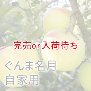 自宅用（訳あり） 【サンふじ専門農園 小西園】
