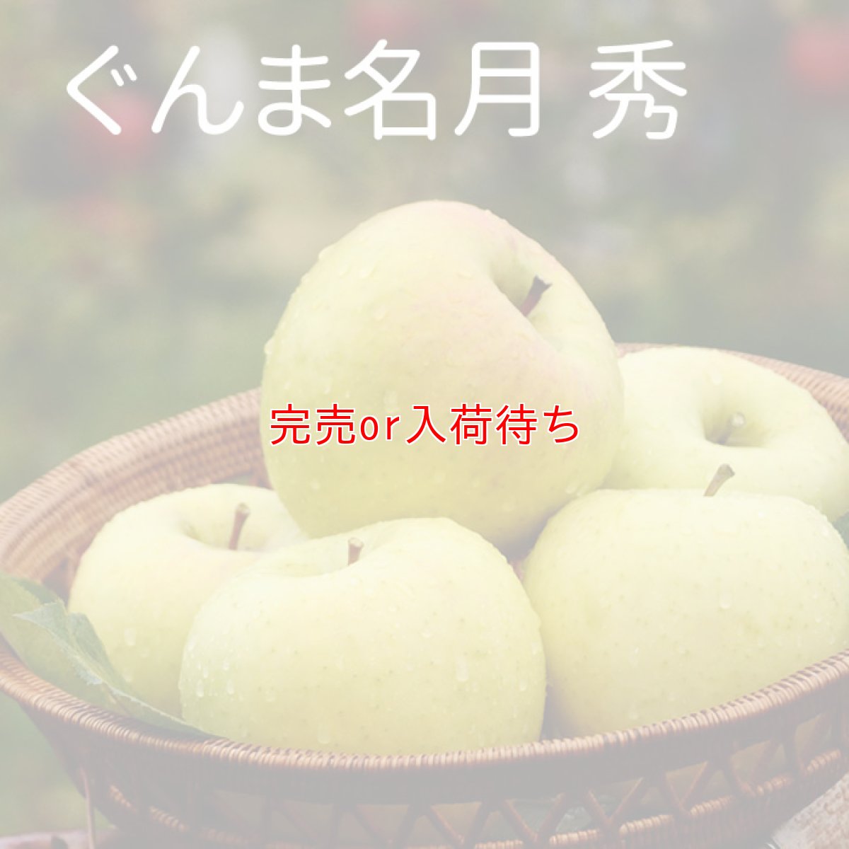画像1: ぐんま名月　秀　15ｋｇ (1)