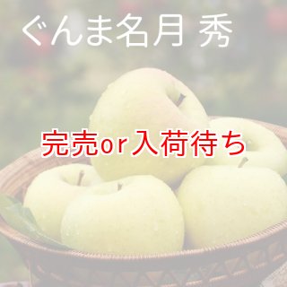 本州、四国宛配送限定　信州産サンふじ、ぐんま名月　約15キロ サンふじ・ぐんま名月詰め合わせ 特秀 15kg 【サンふじ専門農園