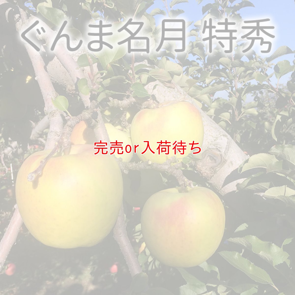 画像1: ぐんま名月　特秀　15ｋｇ (1)