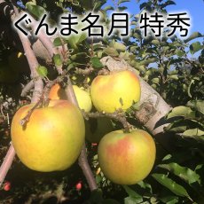 画像1: ぐんま名月　特秀　15ｋｇ (1)