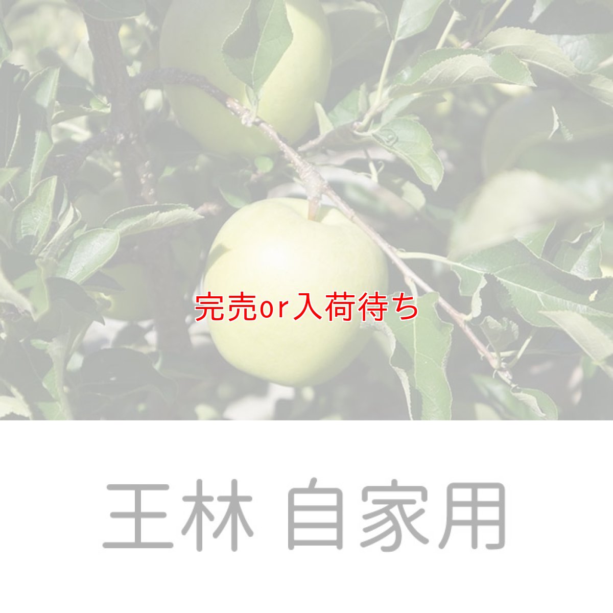 画像1: 自家用王林 15ｋｇ (1)