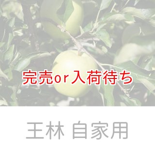 ゆぅ　サンふじ　訳あり(超小玉)箱込み約13kg 自宅用（訳あり） 【サンふじ専門農園 小西園】