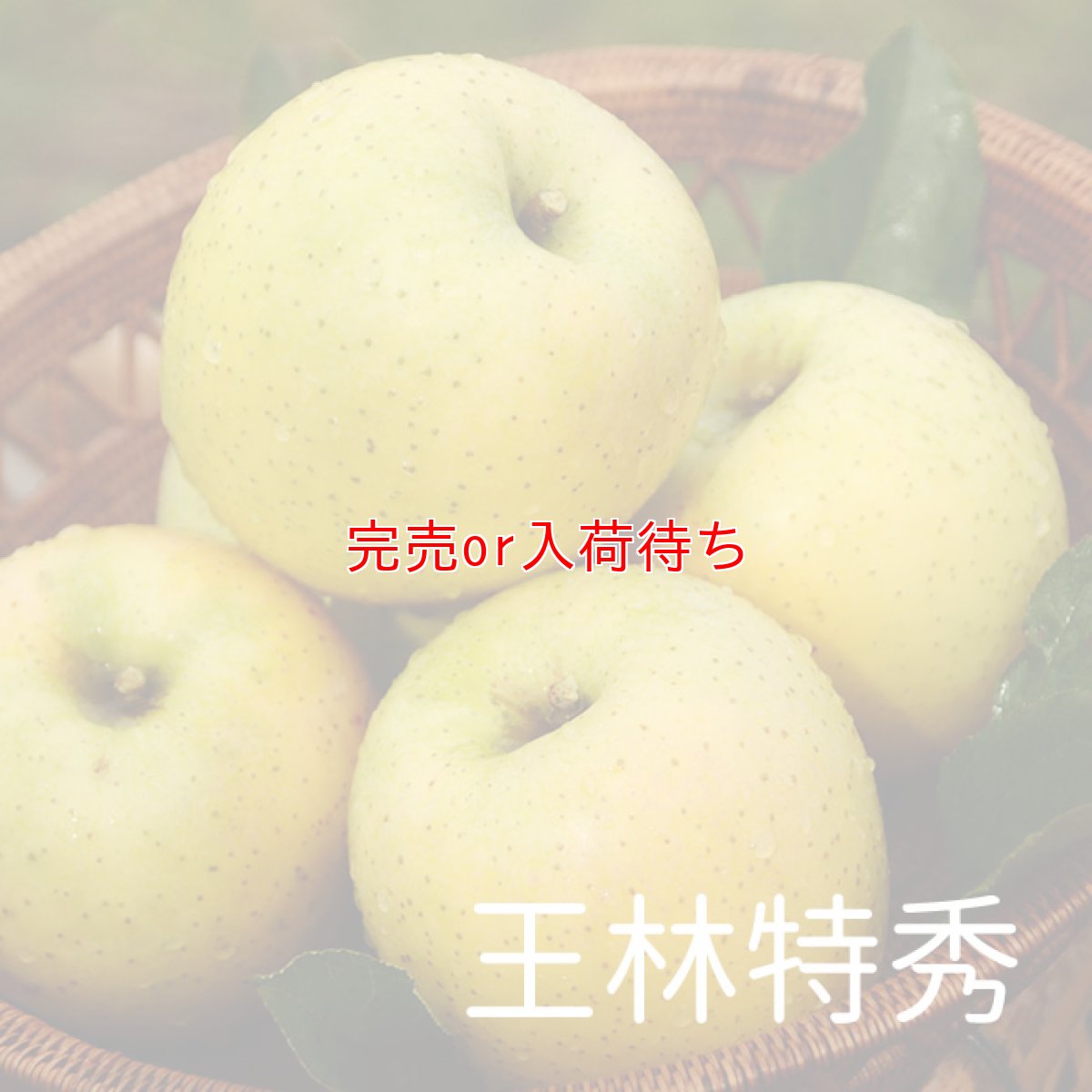 画像1: 王林　特秀　15ｋｇ (1)