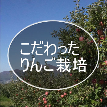 こだわったりんご栽培