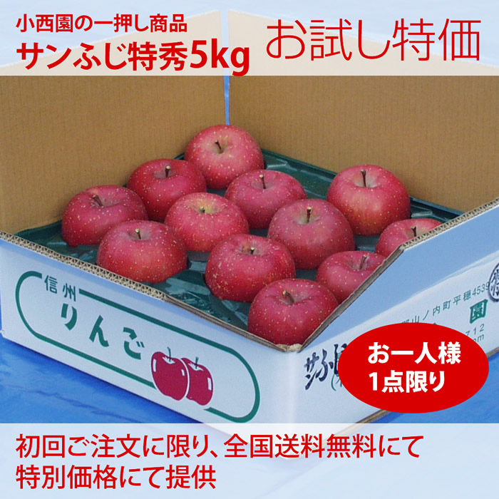 お試し送料無料　サンふじ特秀　5ｋｇ