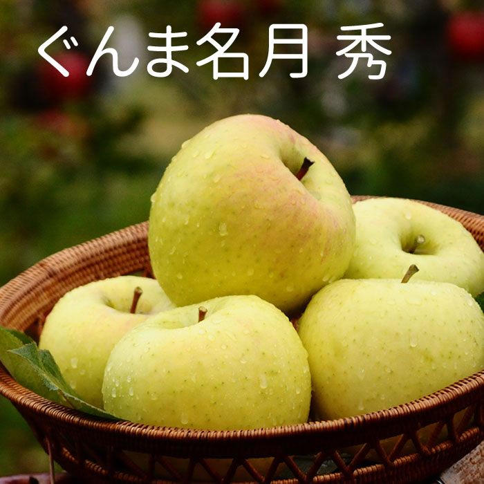 ぐんま名月　秀　15ｋｇ